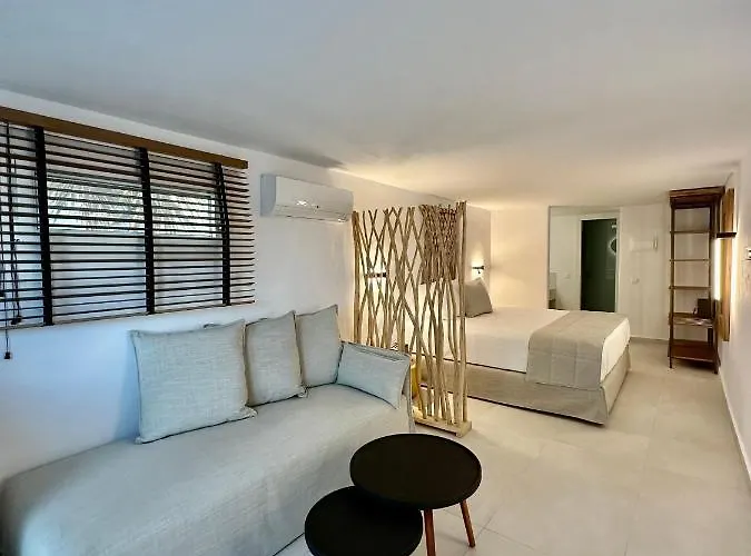 Apartahotel Sofos Mykonos 4*